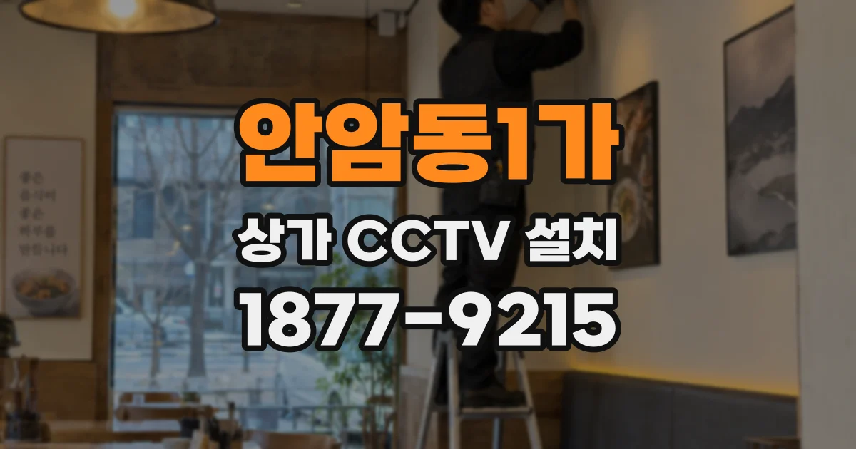 안암동1가 상가 CCTV 설치