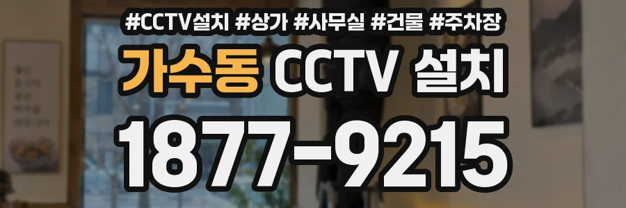 가수동 CCTV 설치
