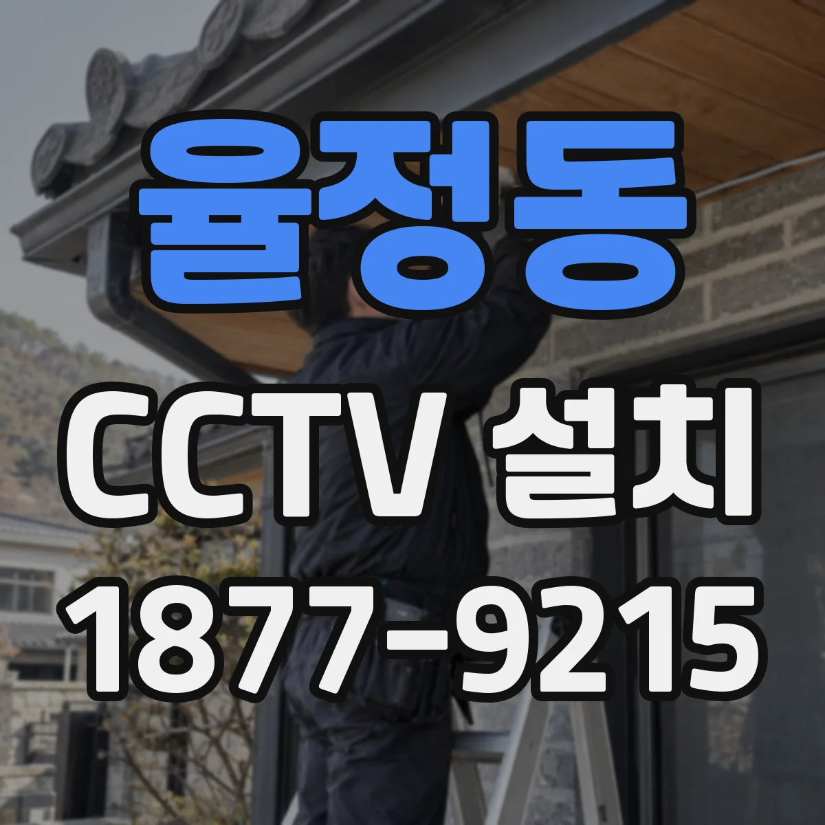 율정동 CCTV 설치
