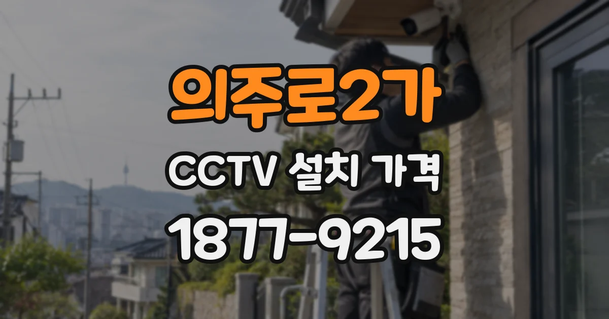 의주로2가 CCTV 설치 가격