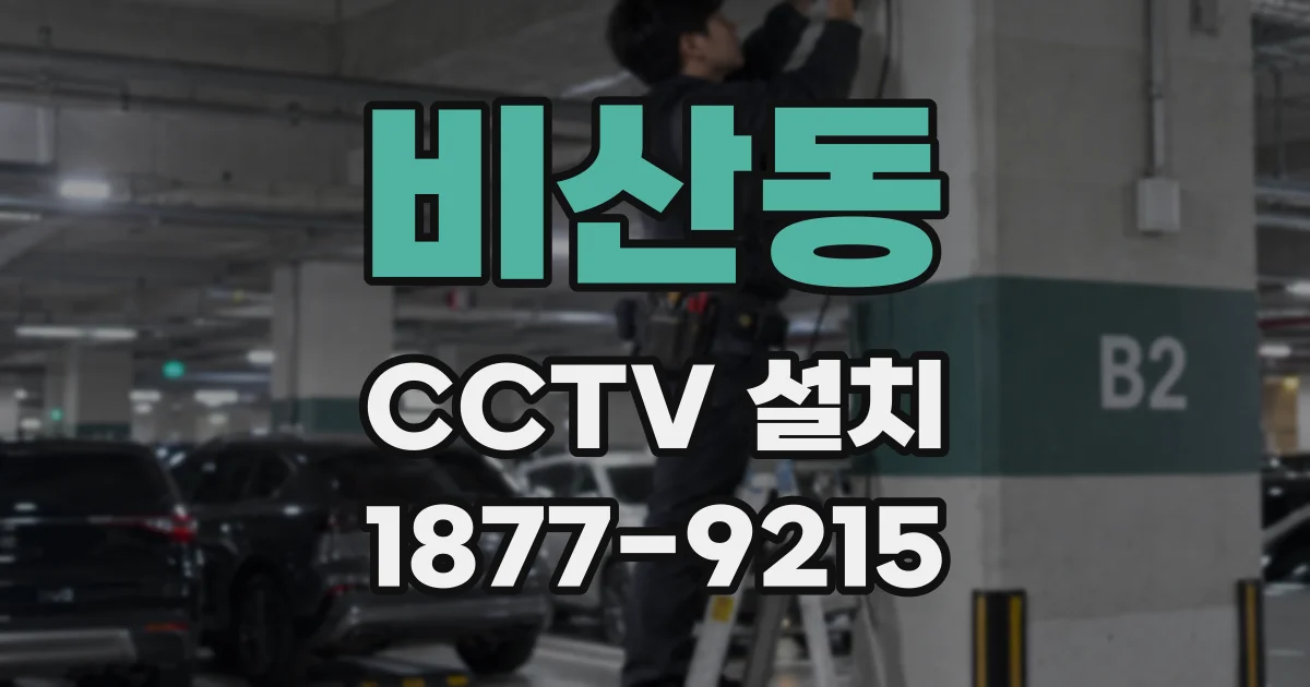 비산동 CCTV 설치
