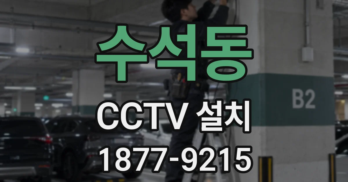 수석동 CCTV 설치