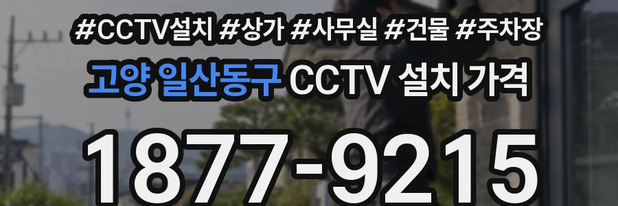 고양 일산동구 CCTV 설치 가격