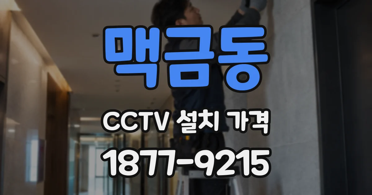 맥금동 CCTV 설치 가격