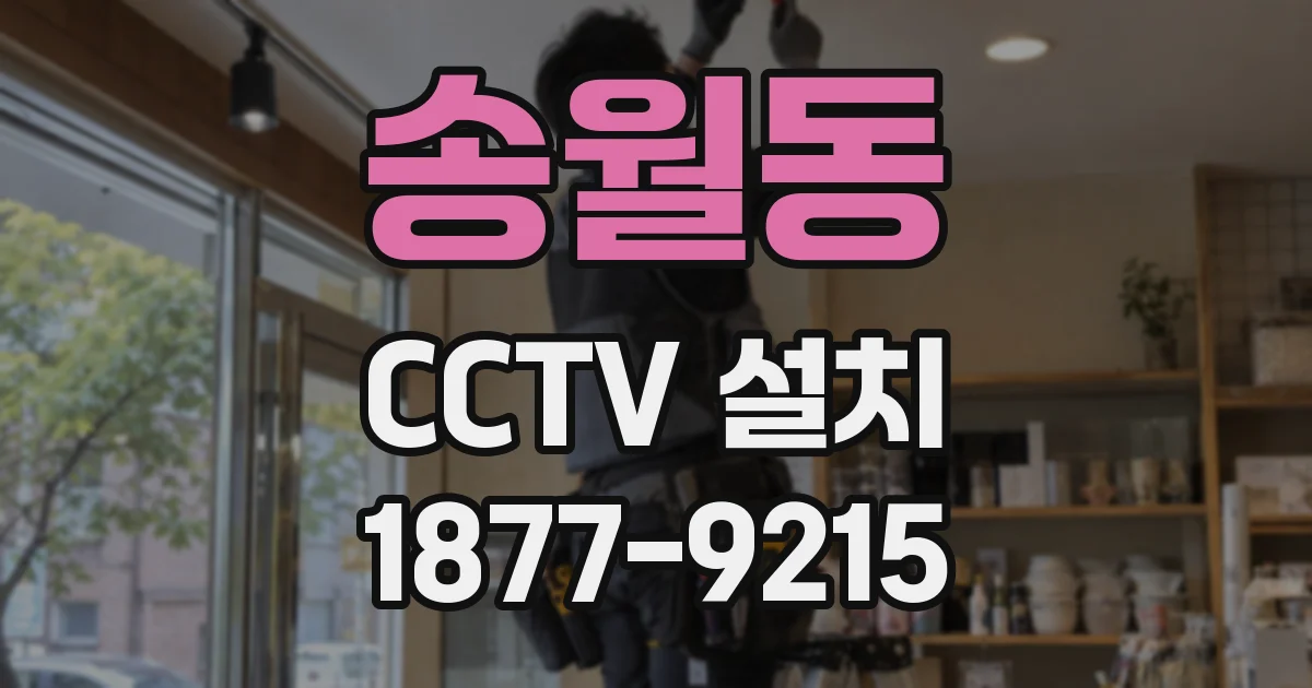송월동 CCTV 설치
