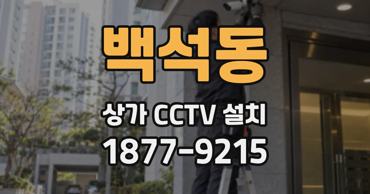 백석동 상가 CCTV 설치