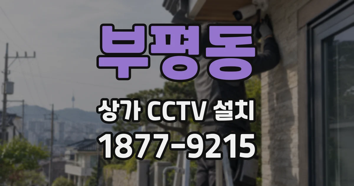 부평동 상가 CCTV 설치