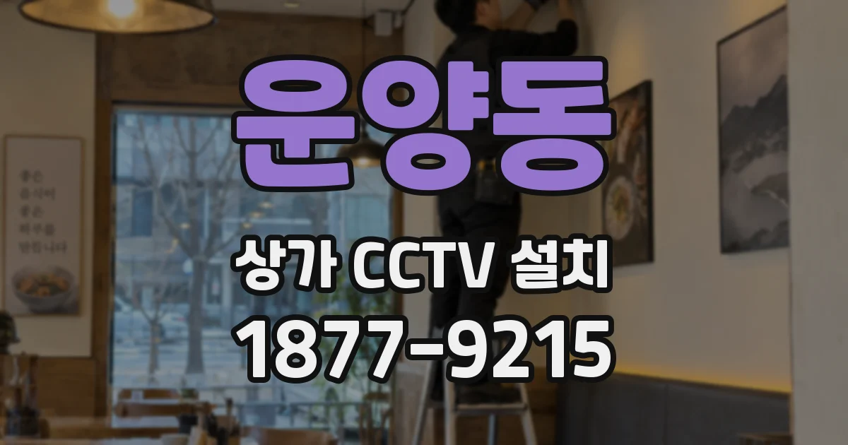 운양동 상가 CCTV 설치