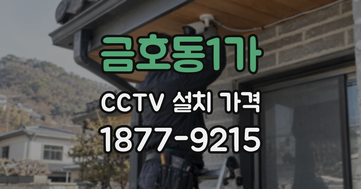 금호동1가 CCTV 설치 가격