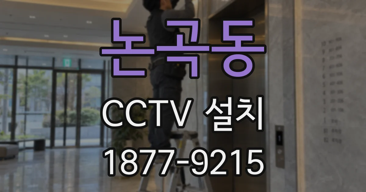 논곡동 CCTV 설치