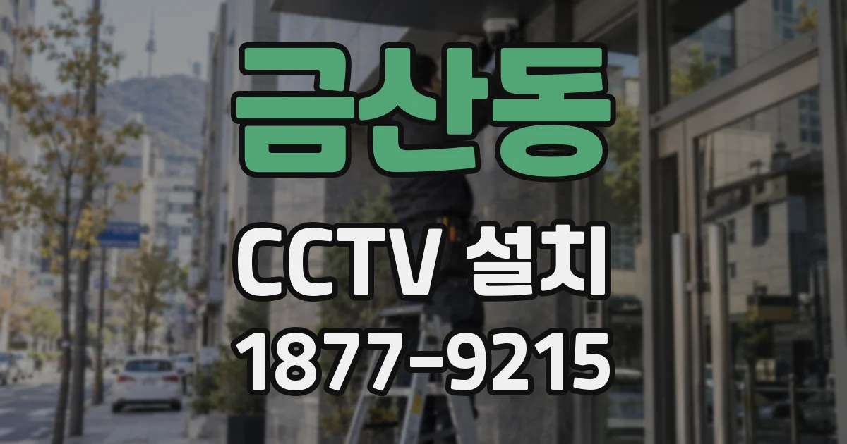 금산동 CCTV 설치