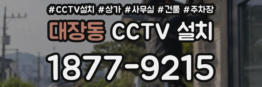 대장동 CCTV 설치