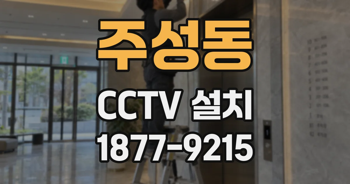주성동 CCTV 설치