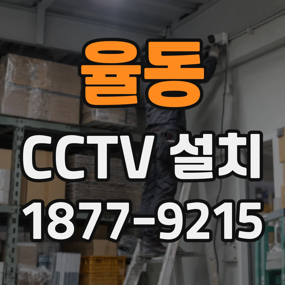 율동 CCTV 설치