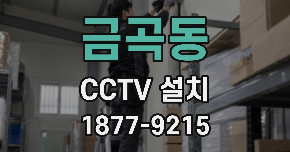 금곡동 CCTV 설치