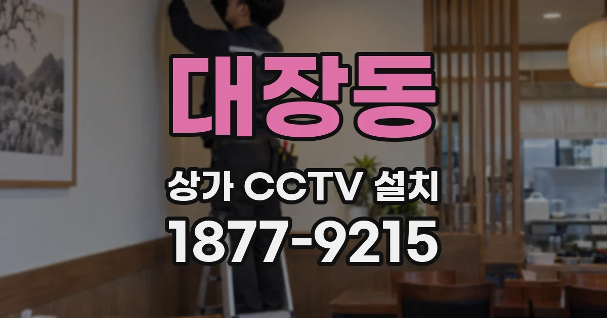 대장동 상가 CCTV 설치