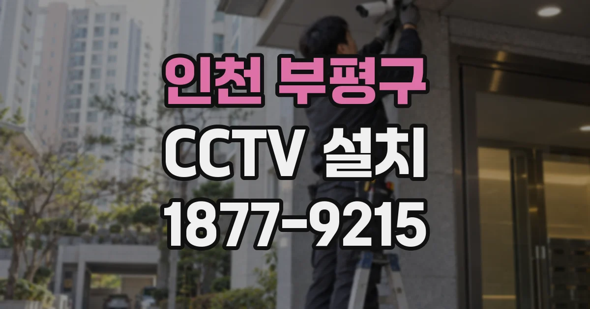 인천 부평구 CCTV 설치