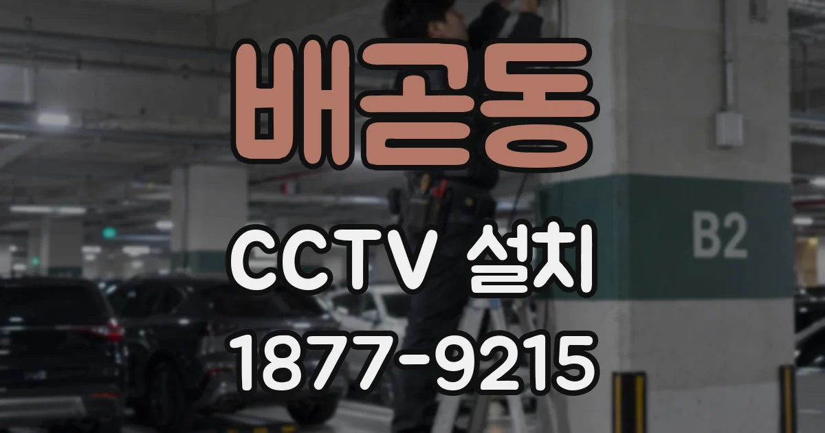 배곧동 CCTV 설치