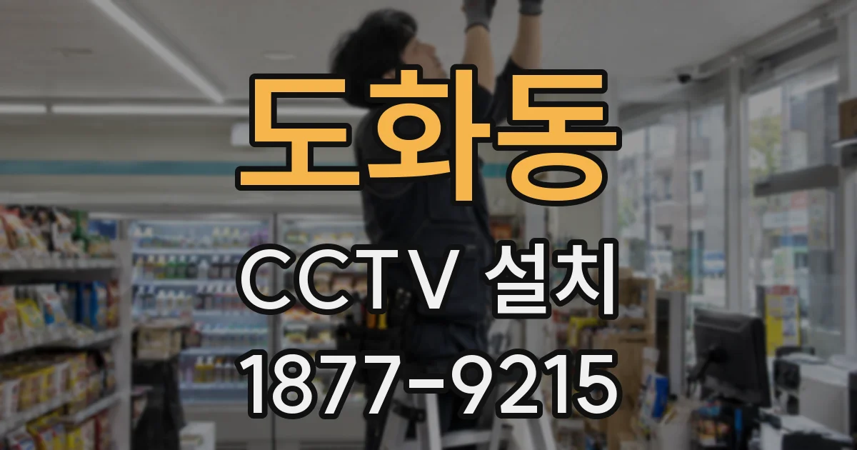 도화동 CCTV 설치