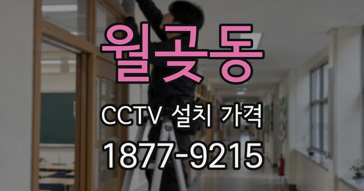 월곶동 CCTV 설치 가격