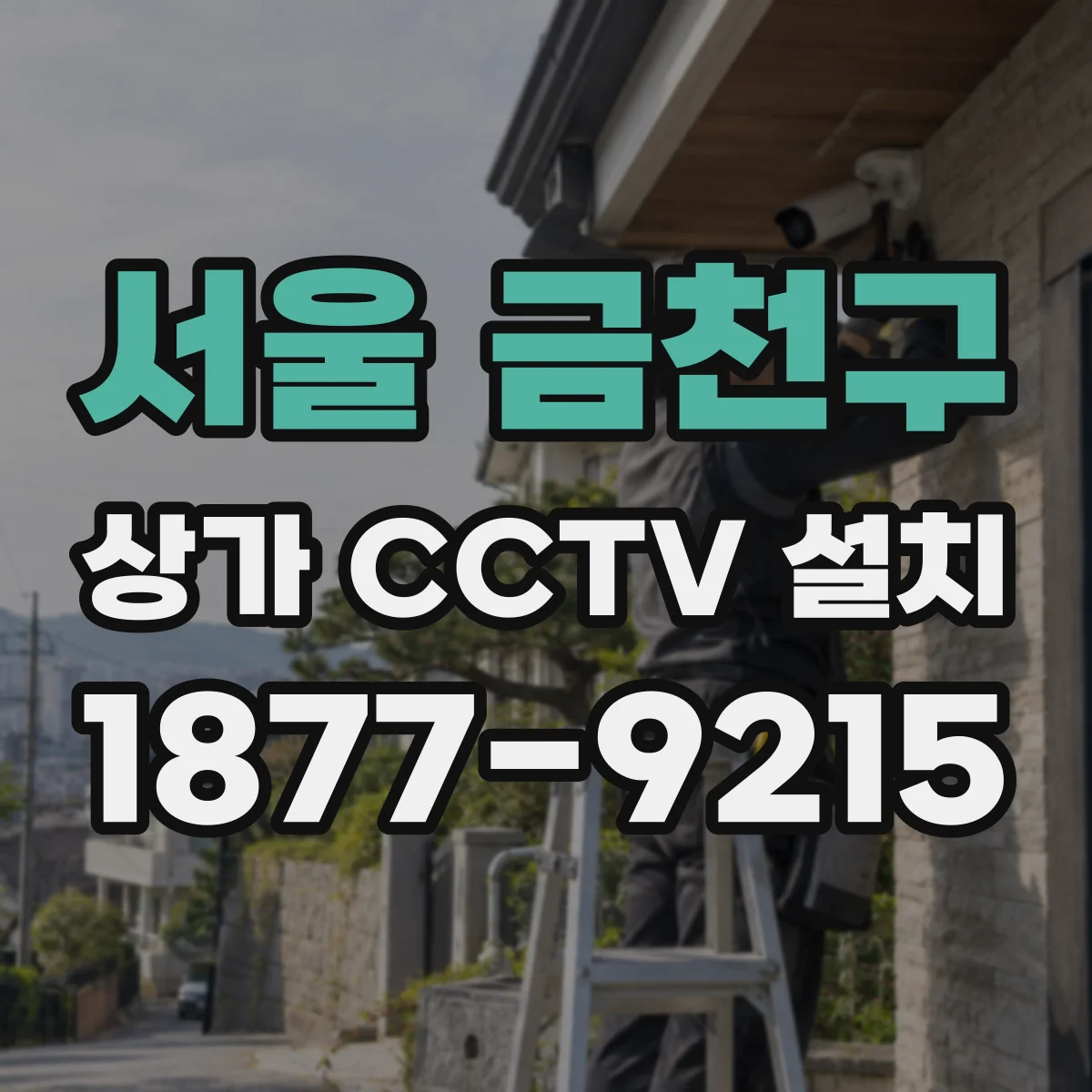 서울 금천구 상가 CCTV 설치