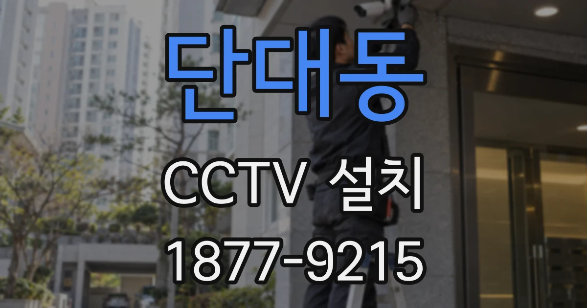 단대동 CCTV 설치