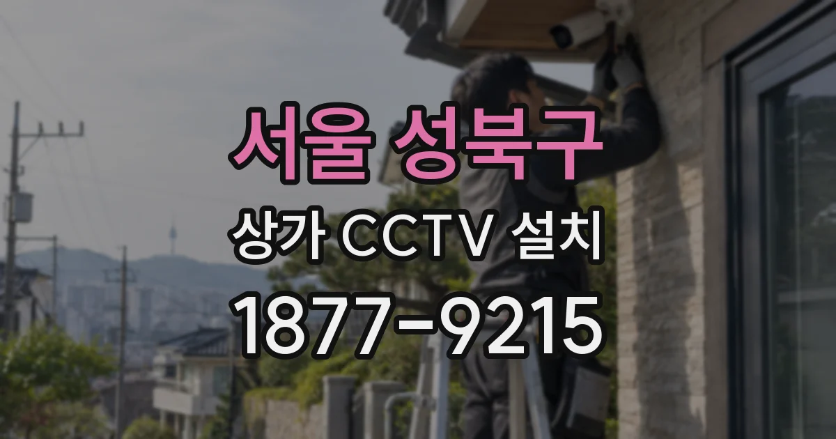 서울 성북구 상가 CCTV 설치