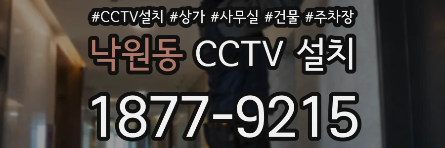 낙원동 CCTV 설치