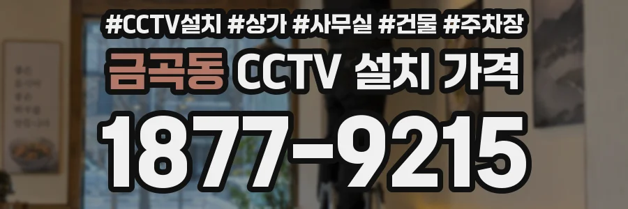 금곡동 CCTV 설치 가격