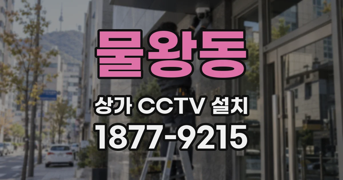 물왕동 상가 CCTV 설치