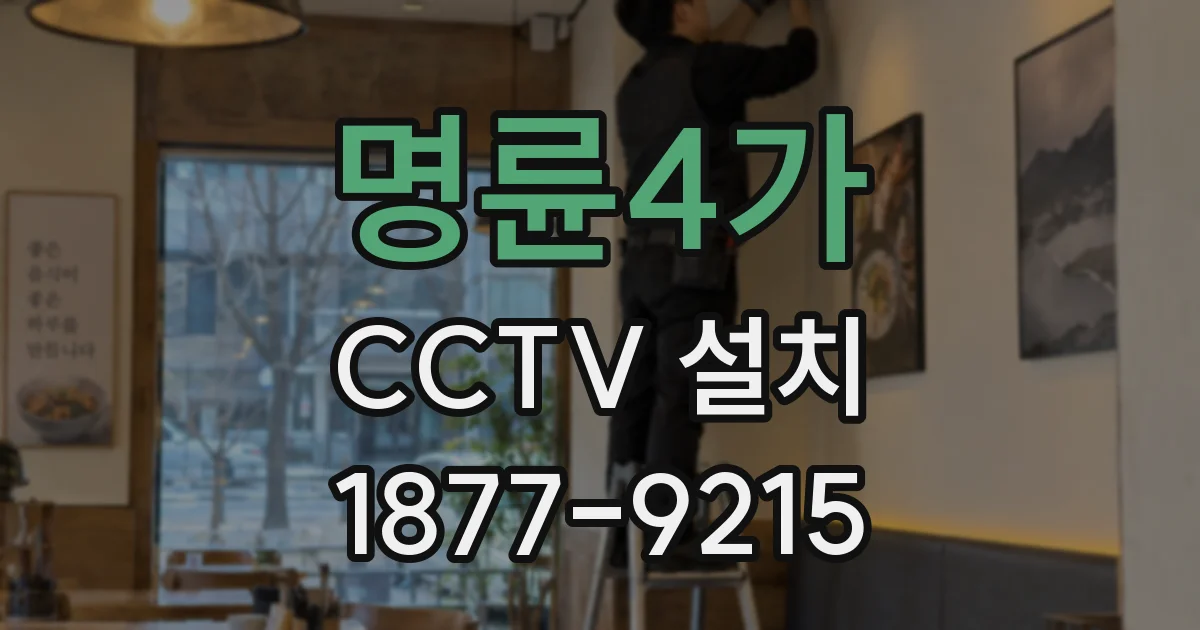 명륜4가 CCTV 설치