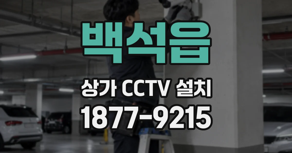 백석읍 상가 CCTV 설치