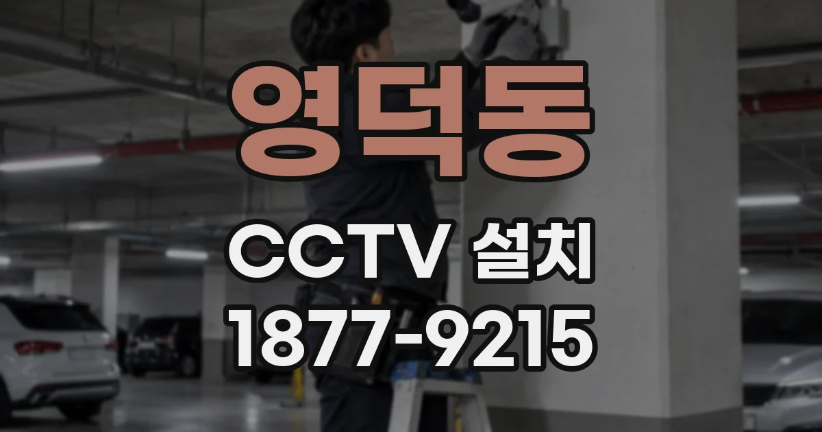 영덕동 CCTV 설치