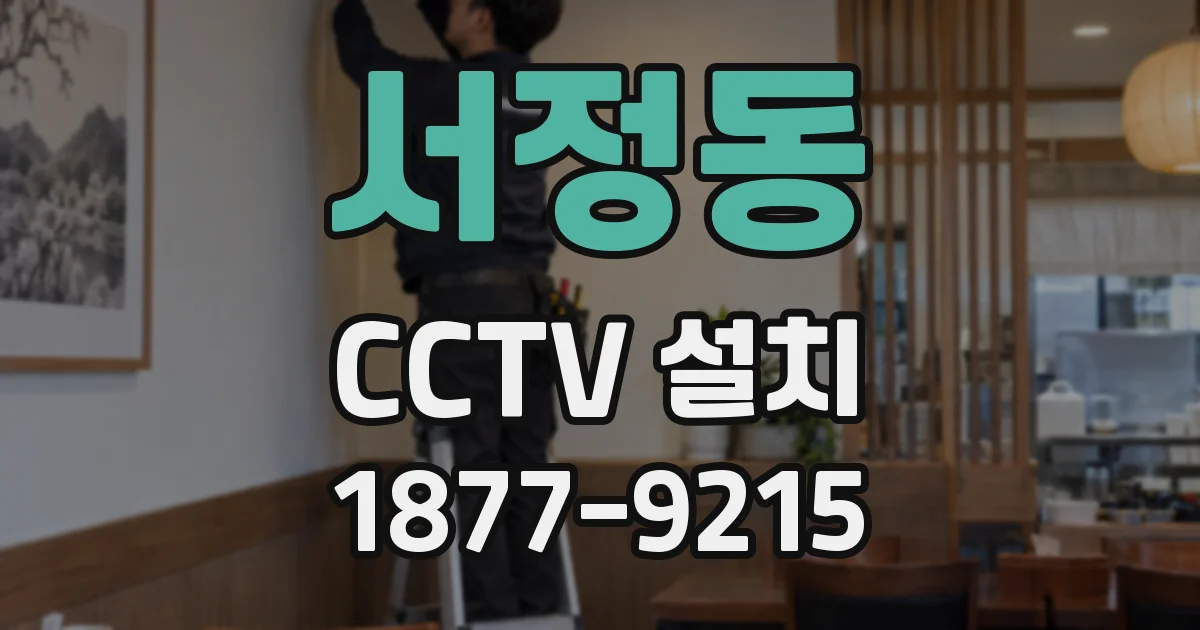 서정동 CCTV 설치
