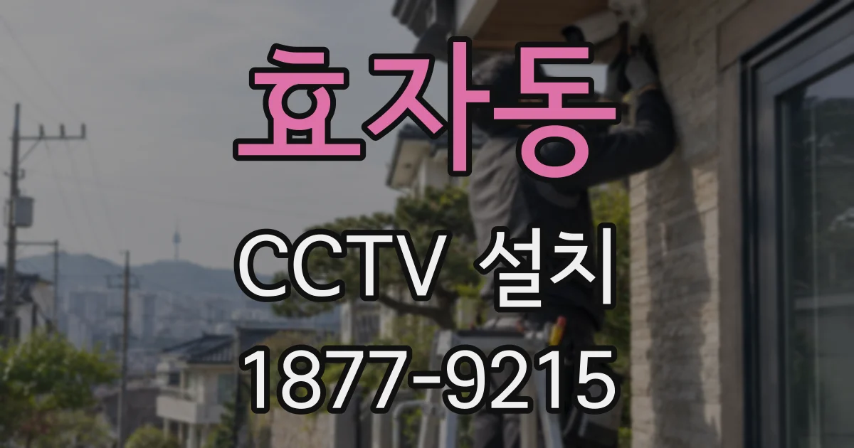효자동 CCTV 설치