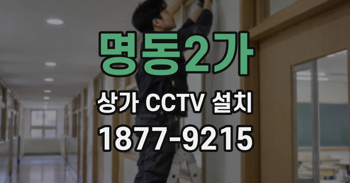 명동2가 상가 CCTV 설치