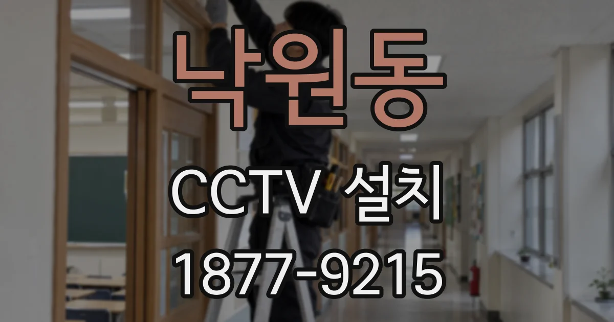낙원동 CCTV 설치