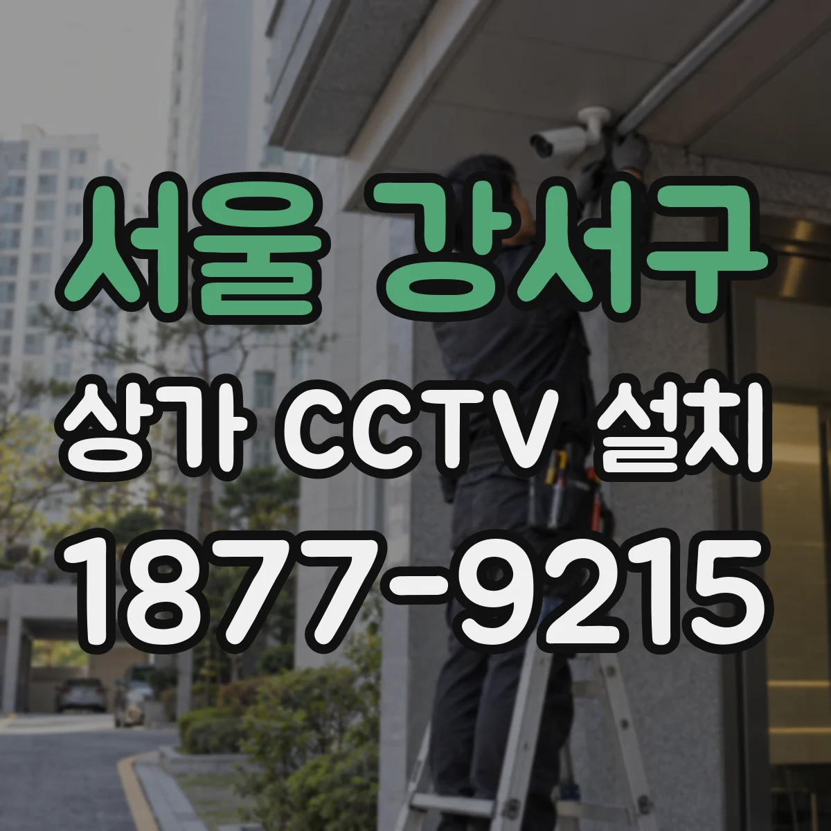 서울 강서구 상가 CCTV 설치