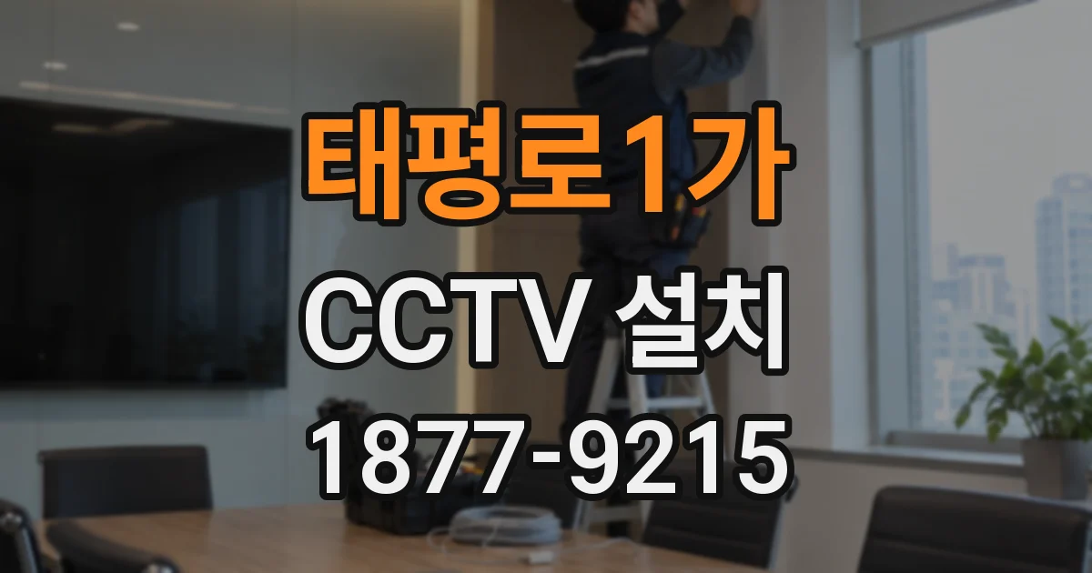 태평로1가 CCTV 설치