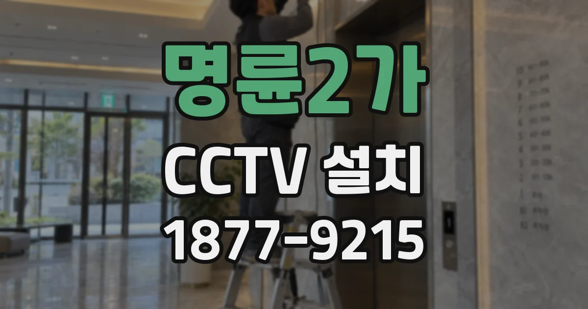 명륜2가 CCTV 설치