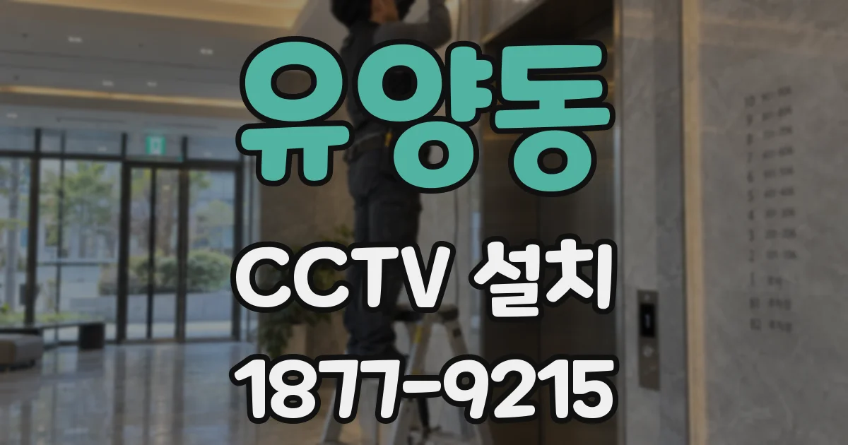 유양동 CCTV 설치