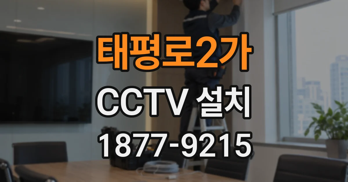 태평로2가 CCTV 설치