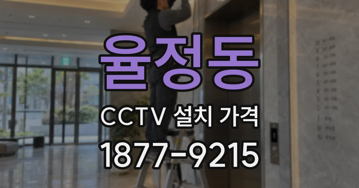 율정동 CCTV 설치 가격