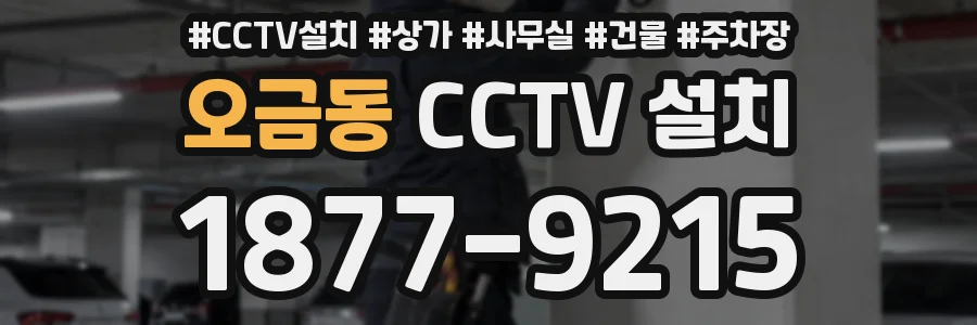 오금동 CCTV 설치