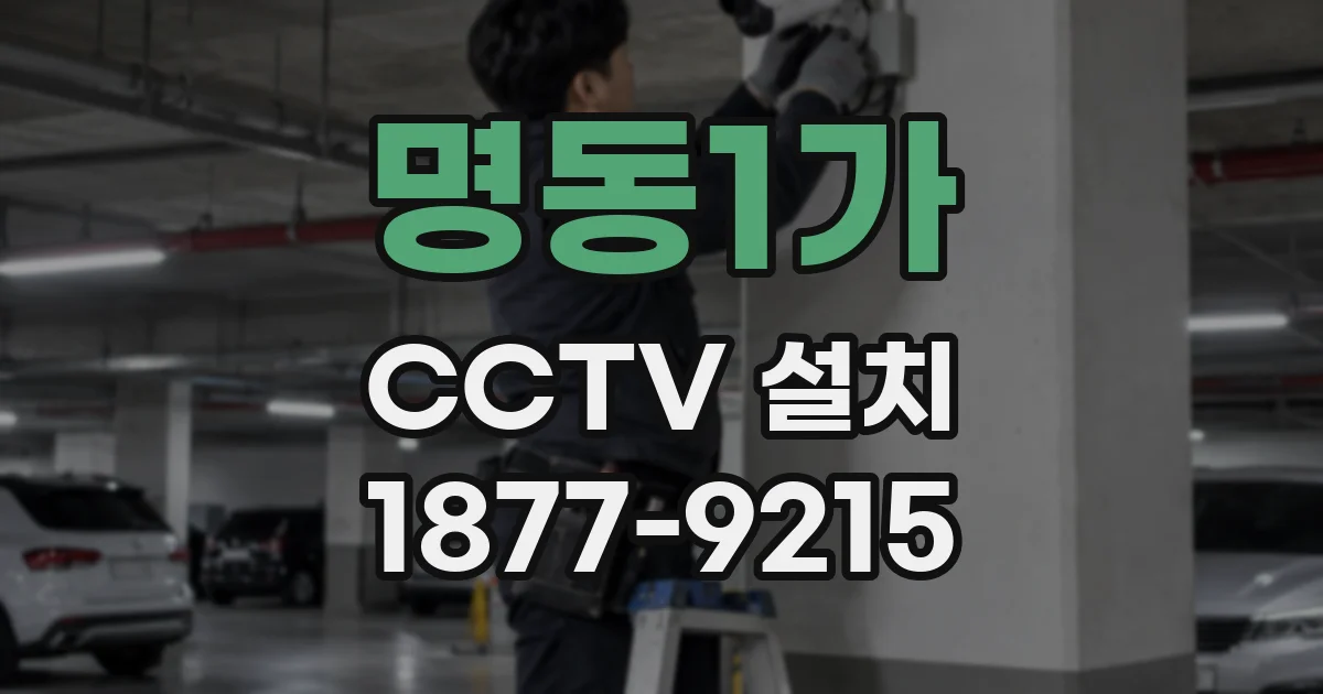 명동1가 CCTV 설치