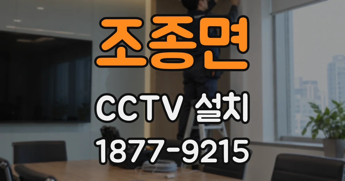 조종면 CCTV 설치