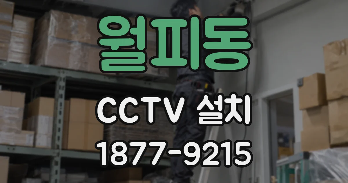 월피동 CCTV 설치