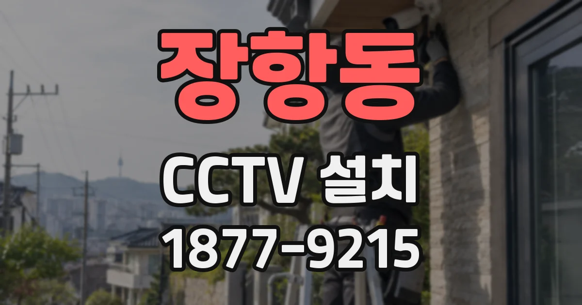 장항동 CCTV 설치