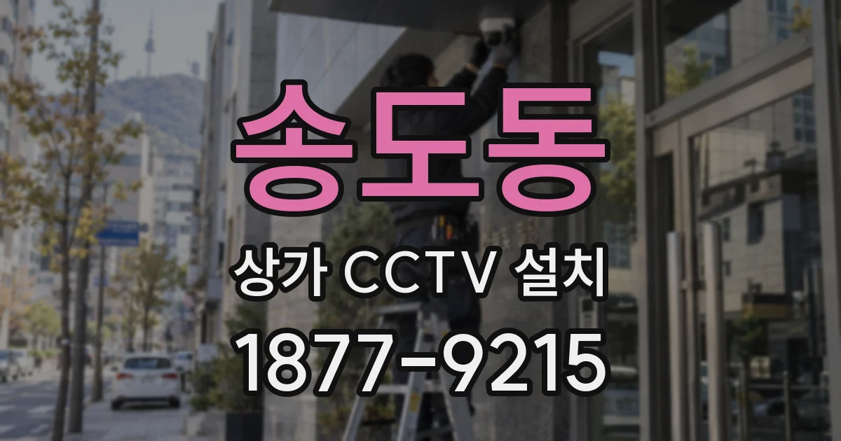 송도동 상가 CCTV 설치