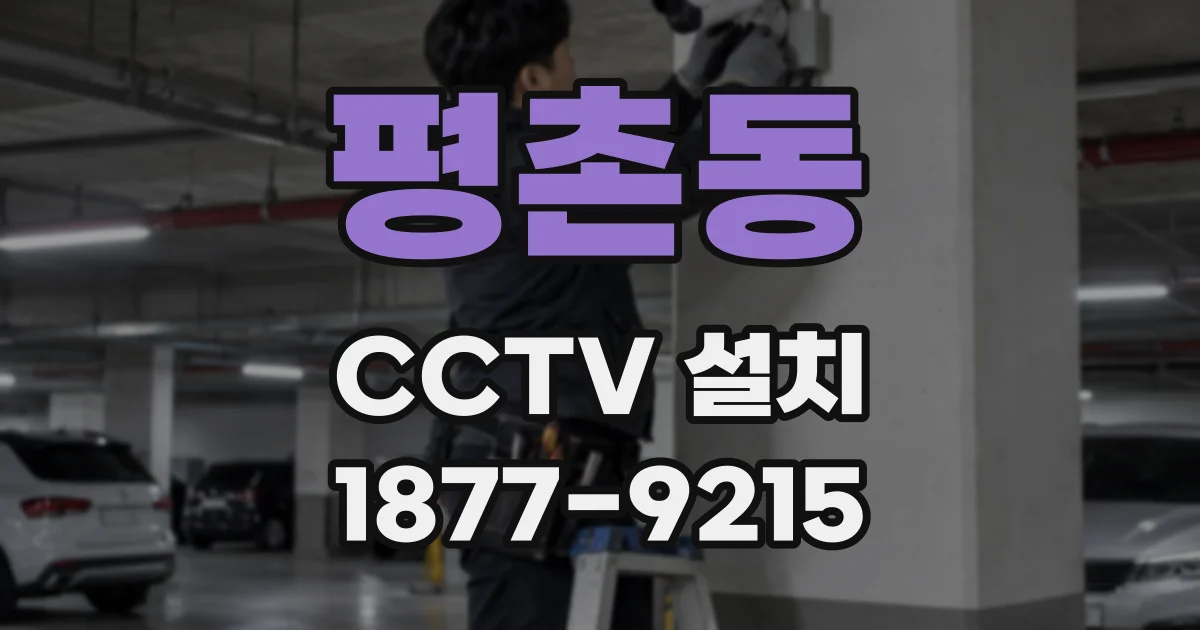 평촌동 CCTV 설치